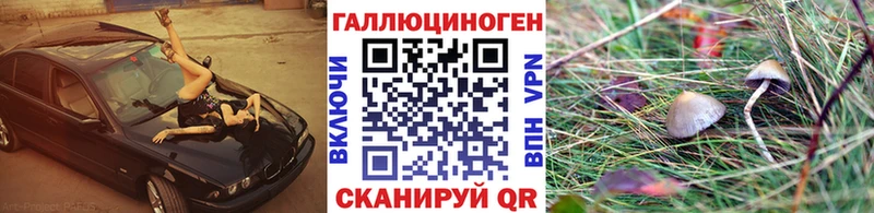 наркошоп  Ленинск-Кузнецкий  Галлюциногенные грибы мухоморы 