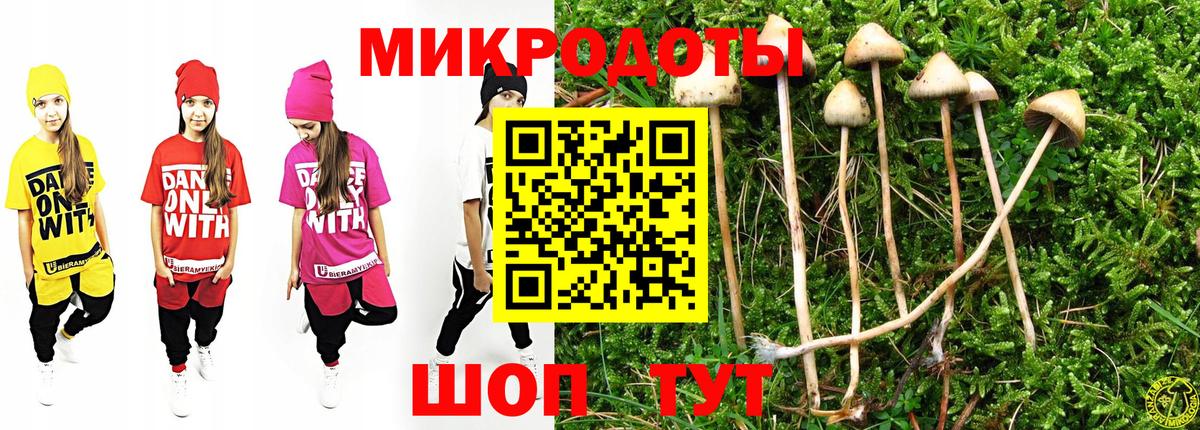 Галлюциногенные грибы Magic Shrooms  Вход с VPN  Галлюциногенные грибы Cubensis  Ленинск-Кузнецкий 
