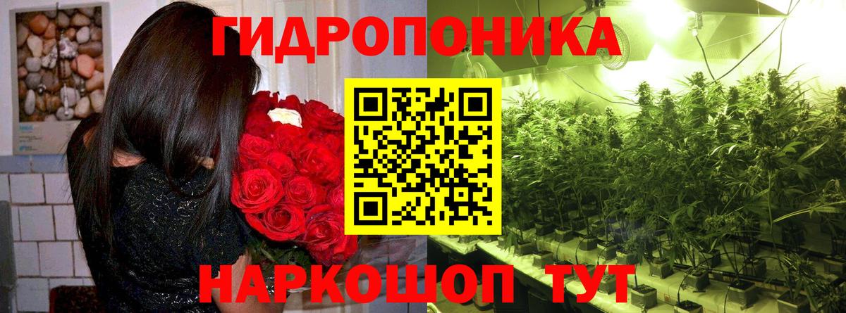 Каннабис марихуана  Конопля OG Kush  Бошки Шишки LSD WEED  Вход с VPN  Ленинск-Кузнецкий 